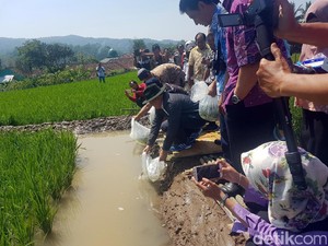 Sebar Nila Hitam di Sukabumi, Teten Masduki Ingatkan Ketahanan Pangan