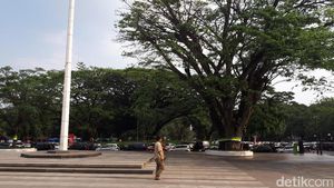 Melongok Ki Hujan Peneduh Balai Kota Bandung yang Tua Namun Kokoh