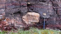 Batu sedimen yang jadi saksi dari perubahan iklim yang terjadi di Pegunungan Yukon. Bagi para geologis, batu ini lebih bernilai dari emas (Vivien Cumming/BBC)