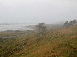Warga Florida Dikejutkan Fenomena Pantai Mengering Tersedot Badai Irma
