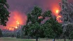 Mereka Asyik Main Golf di Samping Hutan yang Terbakar Hebat