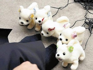 Robot Anjing Ini Bisa Endus Bau Kaki Tak Sedap