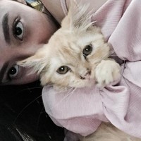 Ini fotonya saat bermain dengan seekor kucing. Memang seorang penyayang binatang. Foto: Facebook Kheny Soliva Berco