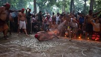 Mereka akan menari di bara api dan masuk ke dalam kondisi trance untuk memuja Dewi Maria Lionza (Marco Bello/Reuters)