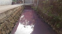 Mulyadi, Ketua RT setempat mengaku baru mengetahui adanya perubahan warna di got wilayahnya.