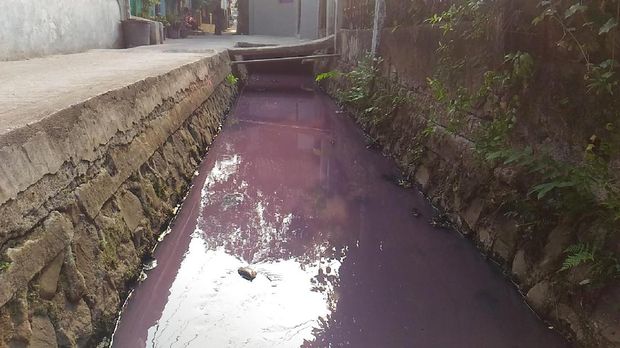 Got di Kebon Jeruk Berubah Ungu Tiap Sore Hari, Dicemari Siapa? 