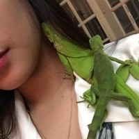 Tak hanya ular, Kheny seperti juga suka dengan hewan reptil. Dalam sebuah unggahan foto, terlihat jika guru SD cantik ini sedang bermain dengan iguana. Foto: Facebook Kheny Soliva Berco