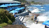 Bientangs Cave Restaurant & Wine Bar dipahat dari gua di Hermanus, Afrika Selatan yang menghadap ke Teluk Walker. Anda mungkin bisa melihat beberapa paus muncul di permukaan laut. Tempat populer bagi turis ini jadi lokaai tepat menikmati ragam menu seafood dan vegetarian.