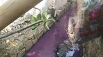 Before-After Air Got di Kebon Jeruk yang Berubah Jadi Ungu Tiap Sore