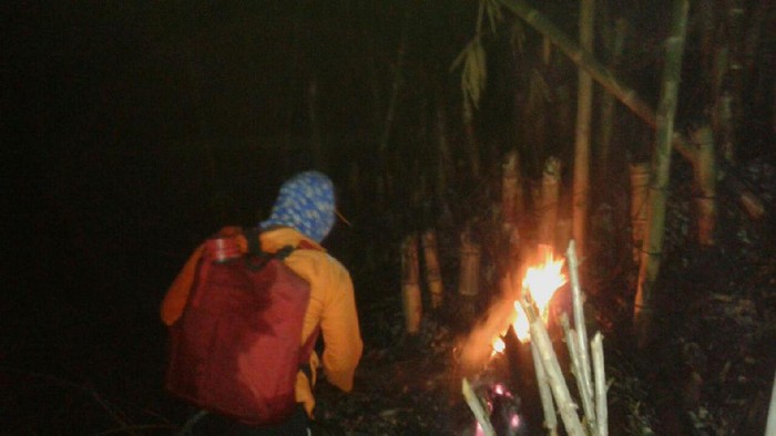 Hutan di Gunung Guntur Garut Sempat Terbakar