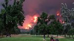 Mereka Asyik Main Golf di Samping Hutan yang Terbakar Hebat