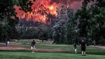 Mereka Asyik Main Golf di Samping Hutan yang Terbakar Hebat