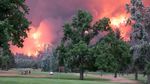 Mereka Asyik Main Golf di Samping Hutan yang Terbakar Hebat