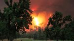 Mereka Asyik Main Golf di Samping Hutan yang Terbakar Hebat