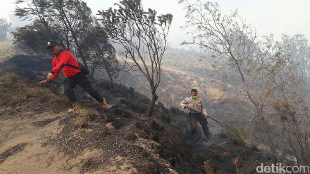 TNBTS: Lahan Ilalang di Kaldera Bromo yang Terbakar 30 Hektar