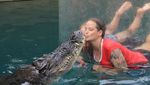 Foto: Lihat Buaya Kayak Begini, Yakin Berani?