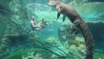 Foto: Lihat Buaya Kayak Begini, Yakin Berani?