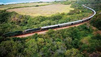 Kereta Shongololo Express ini akan membawa traveler menjelajahi eksostiknya alam negara-negara di benua Afrika. Kereta ini menyusuri Namibia, Afrika Selatan sampai ke Zimbabwe (Rovos Rail)