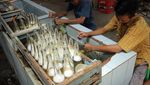 Foto: Limun Jadoel Khas Pekalongan
