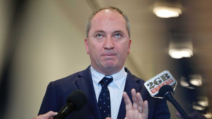 Wakil PM Australia Kesal Terhadap Pendukung Pernikahan Sejenis