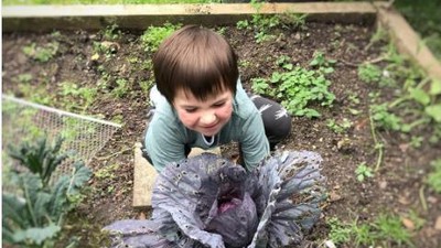 Foto: Keseruan Berkebun Bareng si Kecil