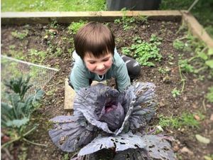 Foto: Keseruan Berkebun Bareng si Kecil