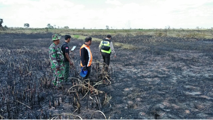 Jurus KLHK Atasi Kebakaran Hutan di Dua Provinsi Potensi Terbakar