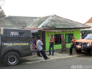 Guru SMA Hilang di Gunung Gede Sukabumi
