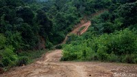 Perjalanan menuju Suruh Tembawang bisa ditempuh menggunakan sepeda motor melewati Jalan Paralel Perbatasan.