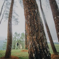 Momen lain yang diabadikan ketika foto prewedding outdoor ala Laudya Cynthia Bella tampak diambil dari jauh. Foto: Dok. Instagram @alvasus