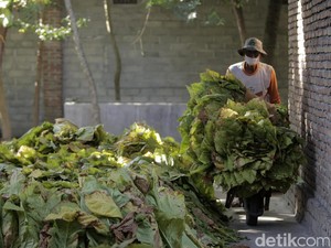 Produsen dan Pabrik Rokok Resah, Ini Penyebabnya