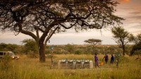 Tidak hanya berenang, traveler juga dapat menikmati santapan makan malam di tengah alam Tanzania yang eksotis. Bukan main indahnya! (Four Seasons)