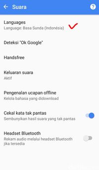 Bisa Ngomong Jawa dan Sunda Sama Google Begini Caranya