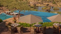Di Tanzania, tepatnya berada di Serengeti National Park traveler bisa melihat berbagai jenis binatang liar yang hidup di sana. Bahkan, bisa juga sambil bersantai dengan berenang (Four Seasons)