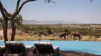 Kolam renang yang satu ini contohnya, pemandangannya langsung ke alam bebas yang banyak binatang liar seperti gajah, zebra hingga singa yang cantik (Four Seasons)