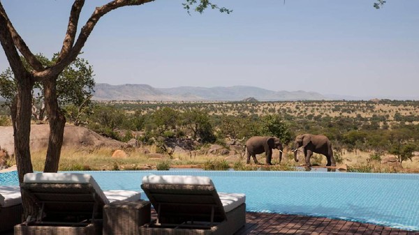 Foto: Kolam Renang Ini Depannya Gajah