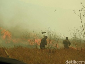 Kebakaran Padang Ilalang di Kaldera Bromo Meluas 76 Hektar
