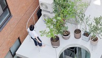 Di Tokyo terdapat sebuah rumah tingkat yang dipenuhi dengan tanaman hijau. Istimewa/Boredpanda.