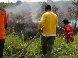 2.100 Personel Manggala Agni Siaga Antisipasi Karhutla