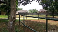 Chester ditempatkan di lokasi karantina. Ada halaman luas yang disiapkan untuknya