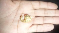 Warga Jaya Makmur OKI menemukan emas berupa cincin dan pernik-pernik perhiasan pada zaman kerajaan Sriwijaya (Dok Kasubbag Media dan Kom Kabupaten OKI)