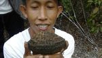 Foto: Geger Harta Karun Sriwijaya