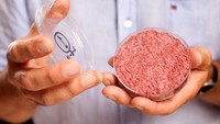 Vegetarian di seluruh dunia perlu berbangga dengan penemuan ini. Apalagi penggemar burger, bisa menikmati daging patty yang tidak dibuat dengan daging tapi dengan campuran kacang-kacangan yang ramah untuk vegan. Foto: Istimewa