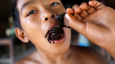 Foto: Tarantula Goreng, Bagaimana Rasanya?