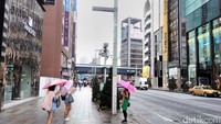 Turis jalan-jalan di Ginza.