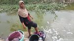 Foto: Kekeringan di Serang, Warga Cuci Baju Pakai Air Menghijau