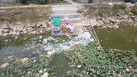 Mereka terpaksa menggunakan air yang sudah menghijau dan penuh sampah karena kekurangan pasokan air bersih akibat kekeringan. (Bahtiar Rivai/detikcom)