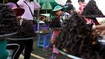 Foto: Tarantula Goreng, Bagaimana Rasanya?
