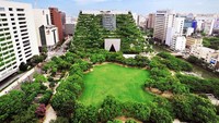 Wow, Gedung Acros Di Fukuoka, Jepang, berkesan sangat sejuk dengan berbagai jenis tanaman hijau. Istimewa/Boredpanda.