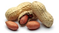 Pada umumnya, kacang tumbuh di pohon, sedangkan kacang tanah tumbuh di bawah tanah. Ahli botani mengklasifikasikan kacang tanah sebagai jenis biji/beans. Foto: iStock